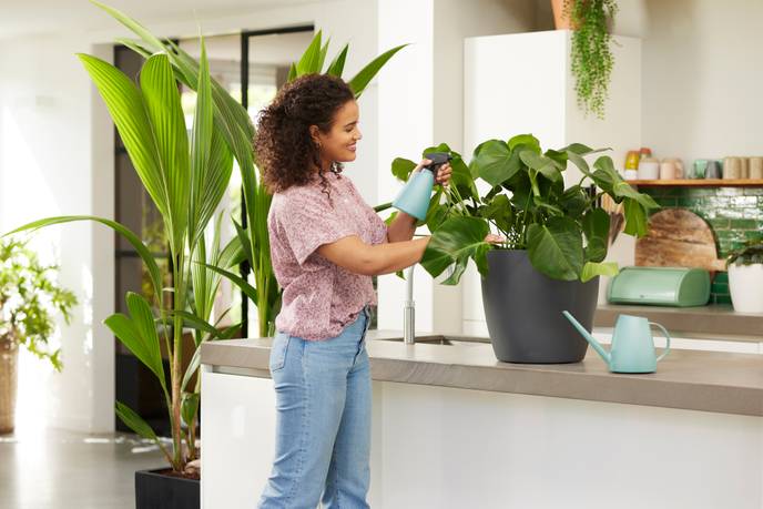 brussels sprüher 0,7ltr mint